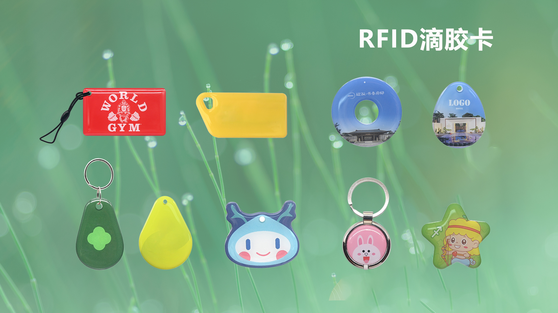 微信圖片_20250929105638_455_127