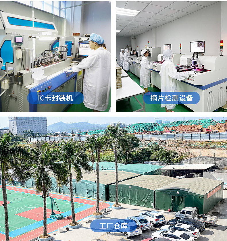 聚會(huì)派對松緊腕帶12